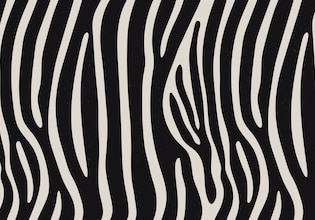 zebra patterns