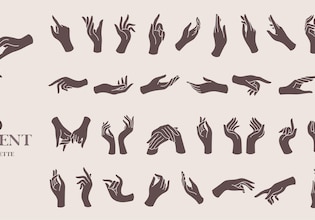 hand illustrations