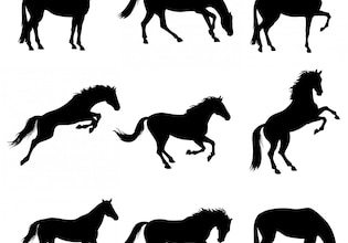 Horse silhouettes