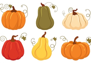 pumpkin clip arts